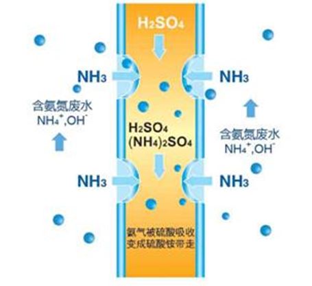 NH3去除原则