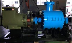 200KW微型/小型冷凝汽轮机